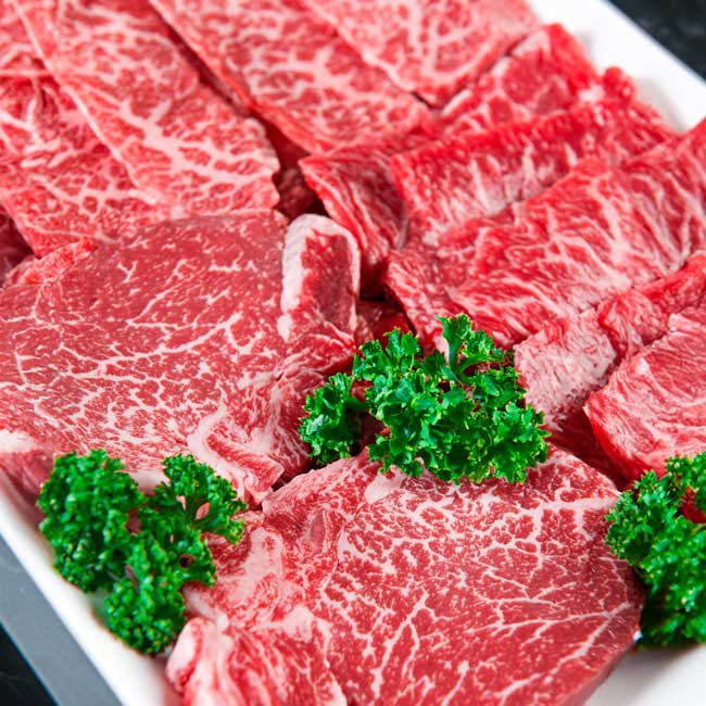 1++ 한우 특수부위 구이 총600g 소고기한판 투뿔한우 구이용 눈꽃 마블링 32,900원