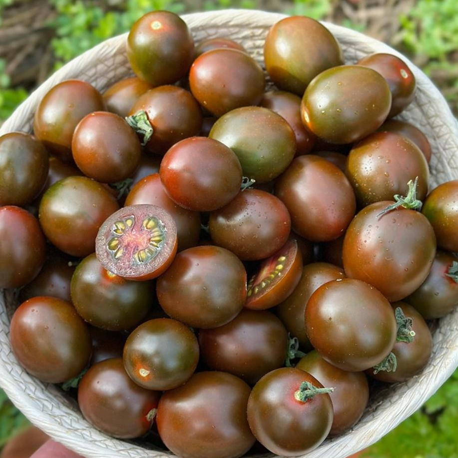 [고품위] 흑대추 방울토마토 (산지직송), 1개, 500g 9,200원