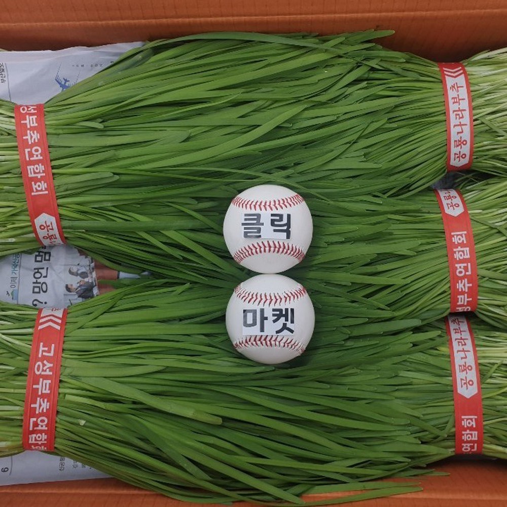 클릭마켓 국내산 정구지 초벌 부추 전 김치 즙 용, 1개 6,500원