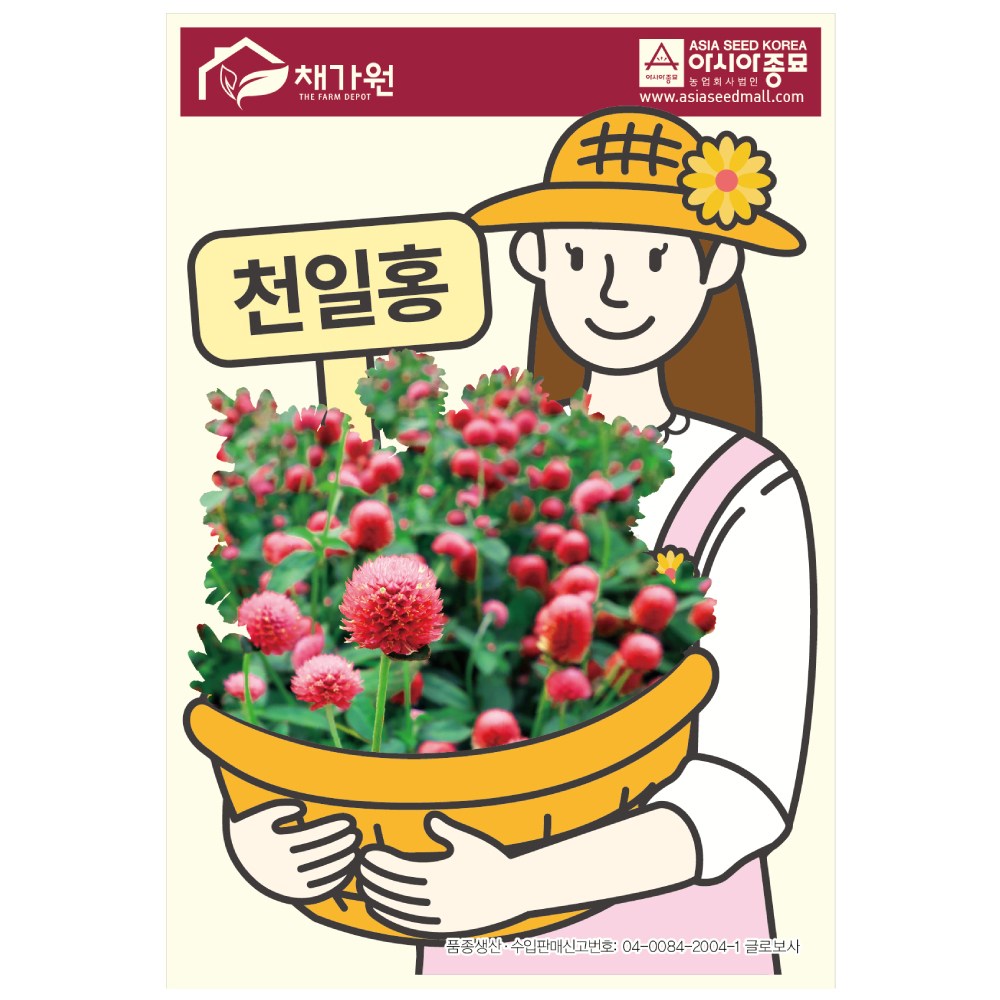 아시아종묘 씨앗 고급꽃 천일홍 100립, 1개 55,000원