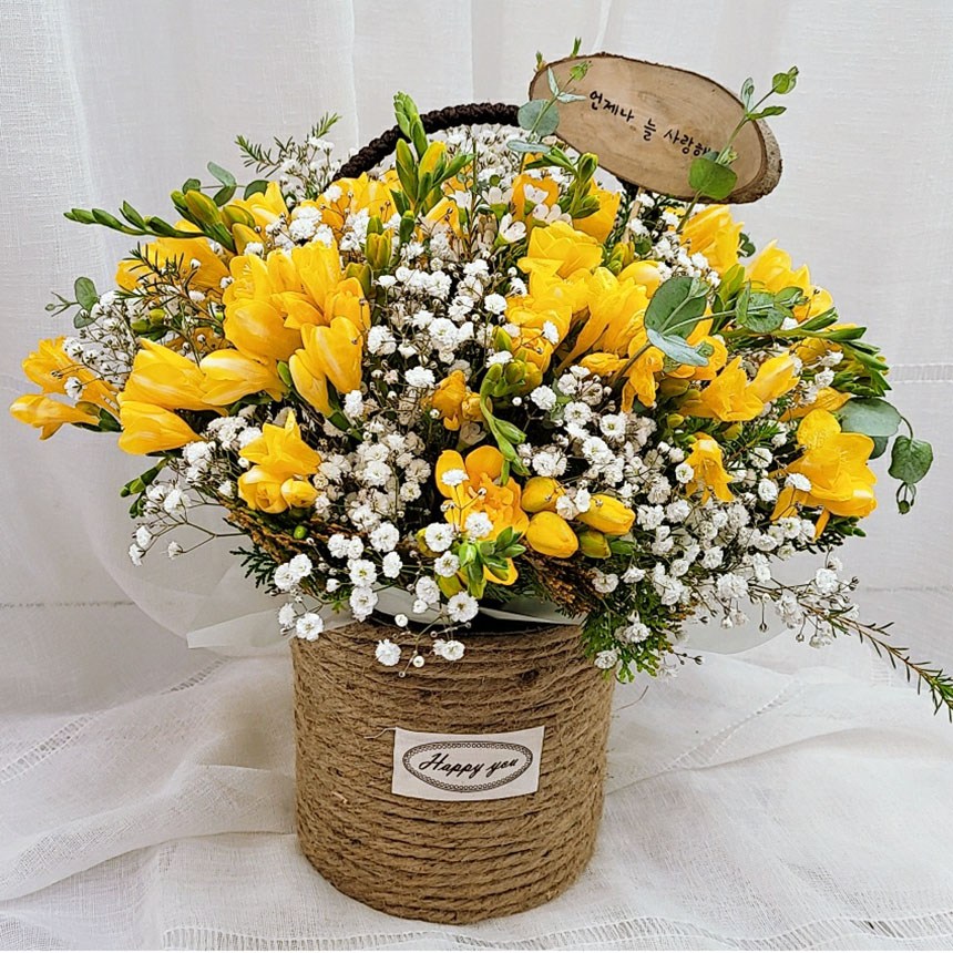 pm3시전 주문시 오늘출발 다음날배송)프리지아꽃다발 꽃바구니전국배달 졸업식 입학식 축하꽃다발 봄꽃 후리지아 안양꽃집, 1개 57,000원