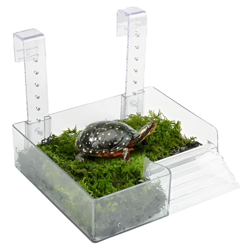 페이토 베란다형 일광욕 거북이 육지 소, 202g, 1개 14,560원