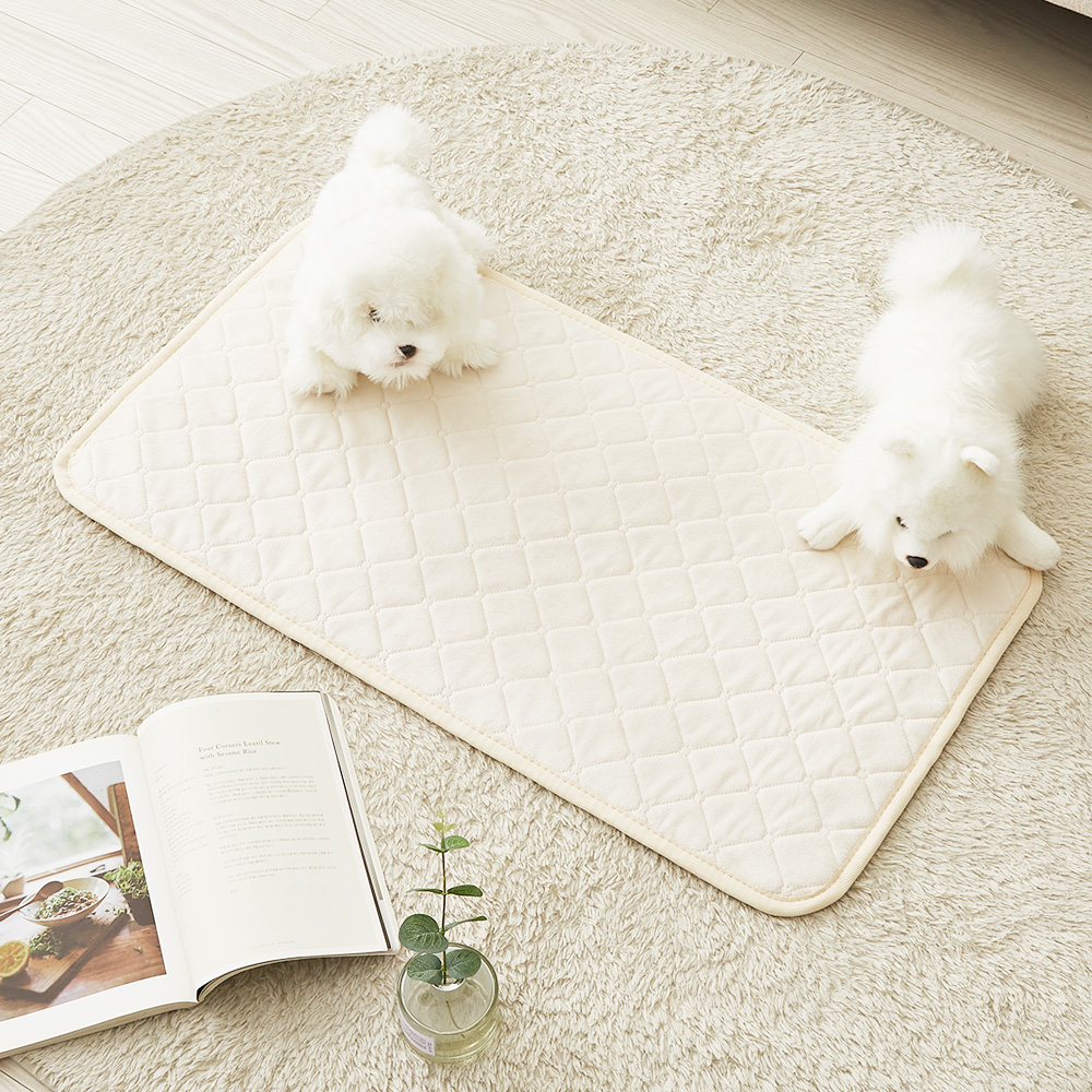 눕자 반려동물 카본 탄소 소프트극세사 전기방석, 특대형(50 x 90 cm), 베이지 36,040원