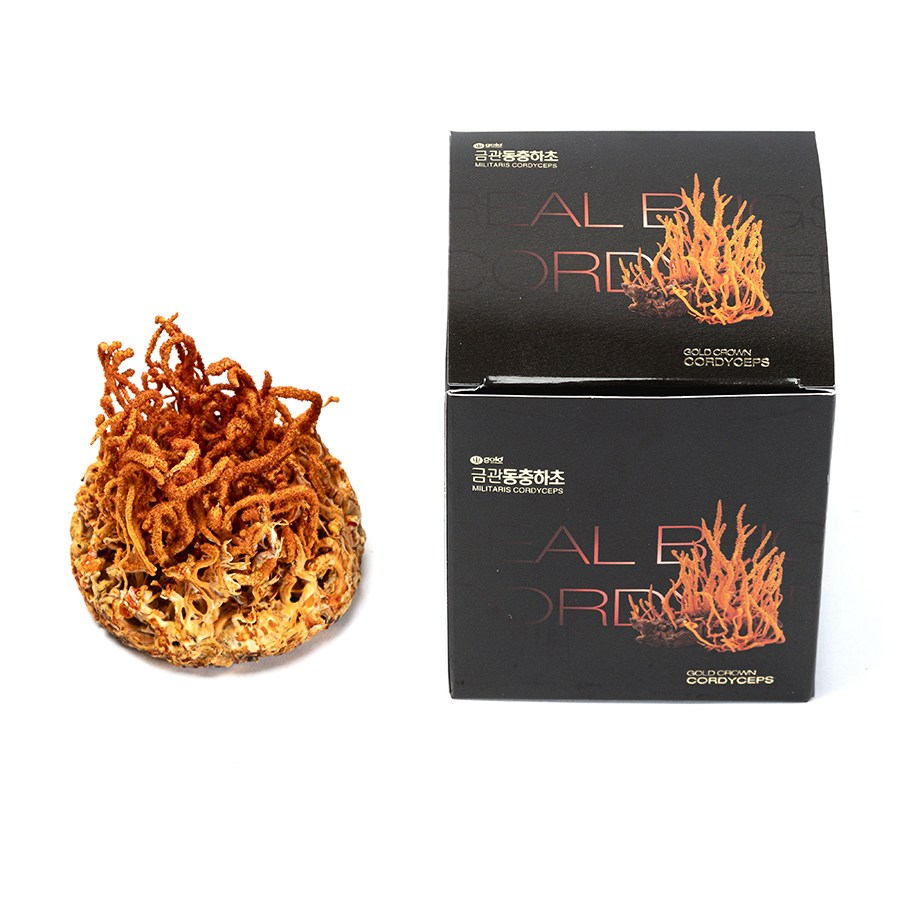 (국내산)천일한약방 유기농 누에 번데기 동충하초 건조 45g, 1개, 45g 35,000원