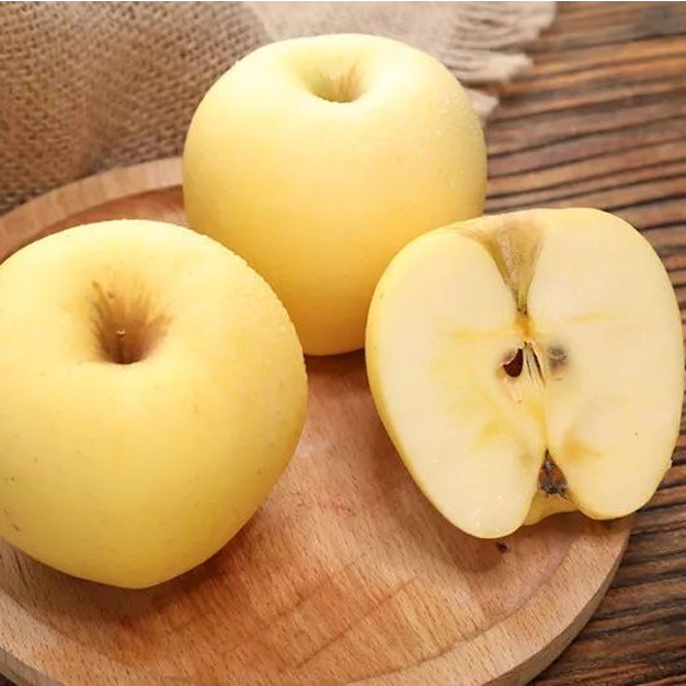 [최대할인]경북직송 BEST 과즙줄줄 가정용 시나노골드사과, 1박스, 5kg 29,900원