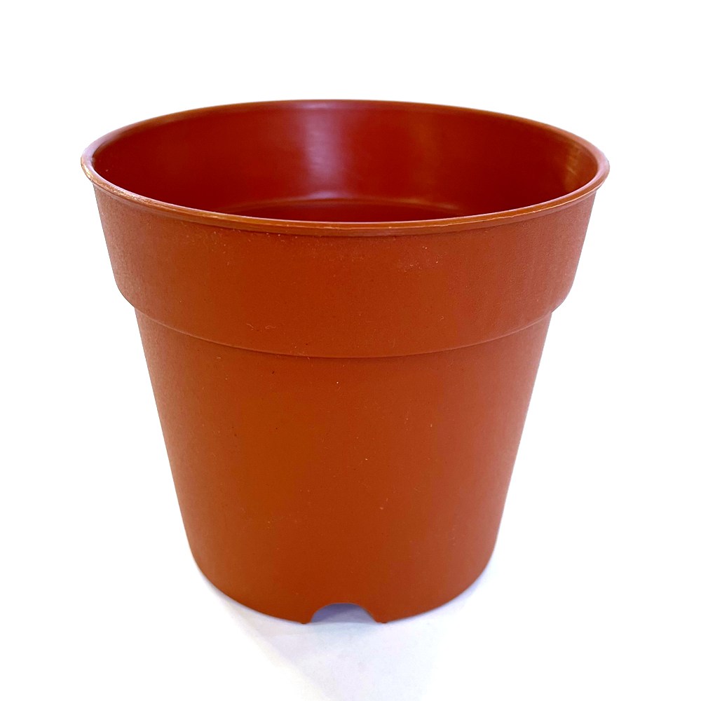 플라스틱화분 pp토분6호 분갈이흙 화분 모종, 1개 580원