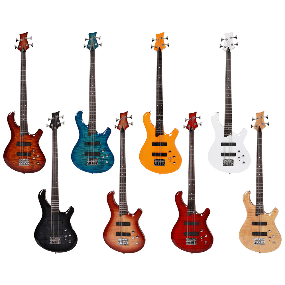 Dame Fall & Paul 250 데임 폴앤폴 250 입문용 베이스 438,000원