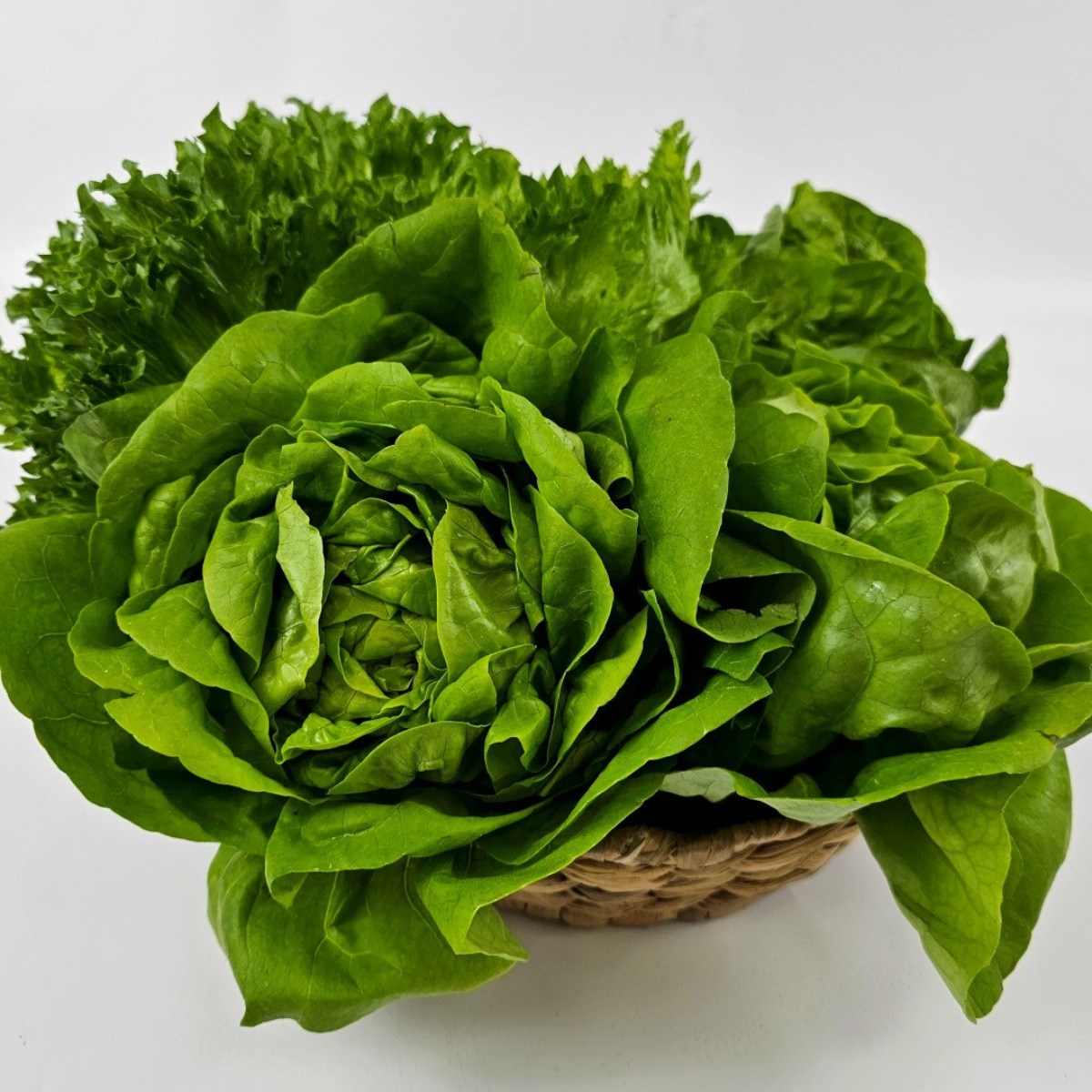 국내산 GAP 유러피안 샐러드 유럽 모듬채소 쌈채소, 1박스, 2kg 20,570원