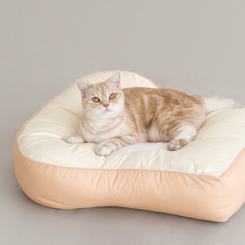 홈랩 기절 펫 식빵 토스트 강아지방석 강아지침대 댕냥쿠션 방수커버 세트, 아이보리+베이지, 1세트 49,900원