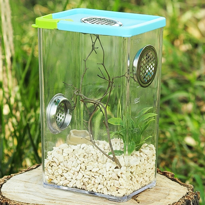 랜보어 파충류 곤충 통기구 사육통 10.5 x 8 x 17 cm 7,800원