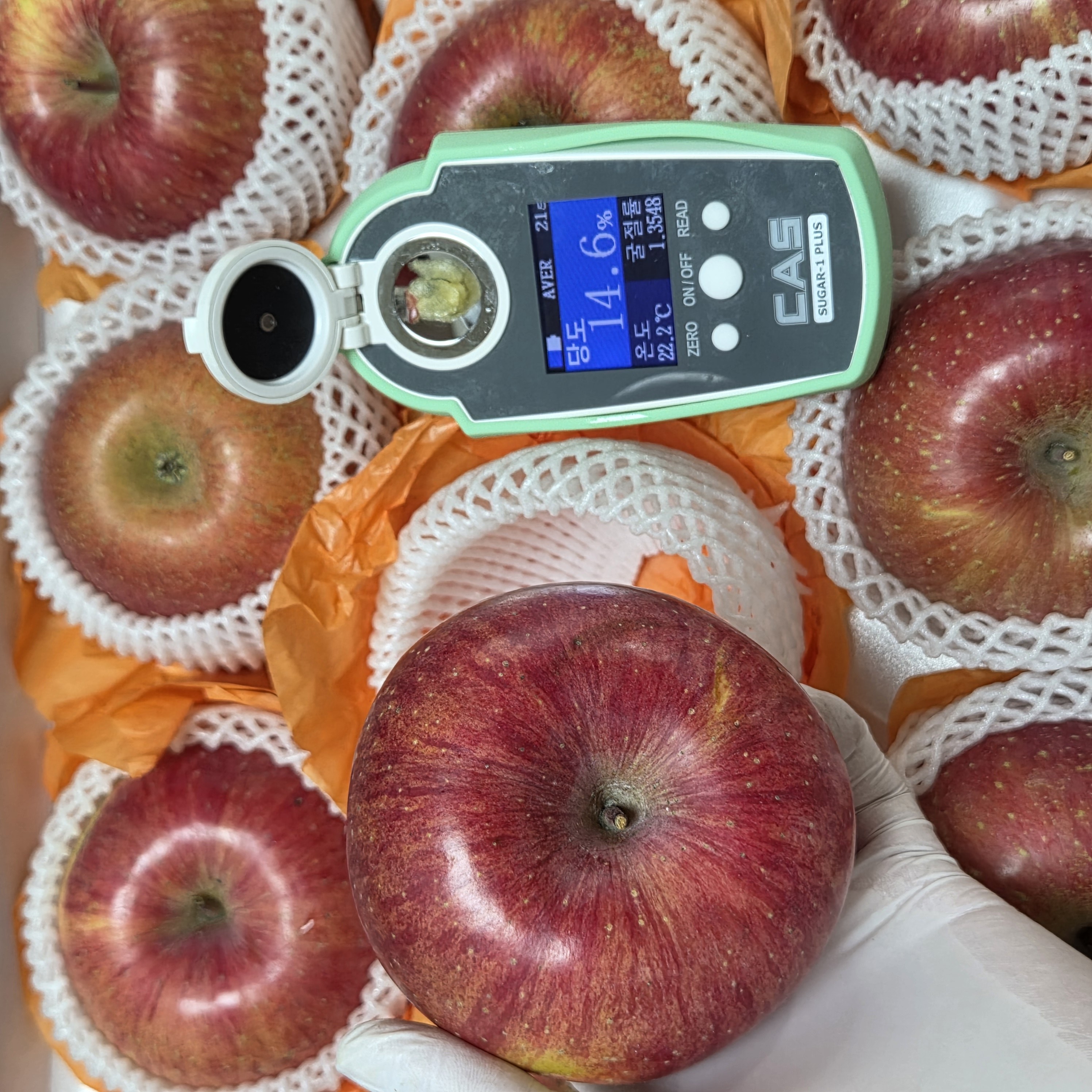 [환불보장] 고당도 프리미엄 부사사과 못난이 사과 가정용 14브릭스, 1박스, 10kg 200,000원