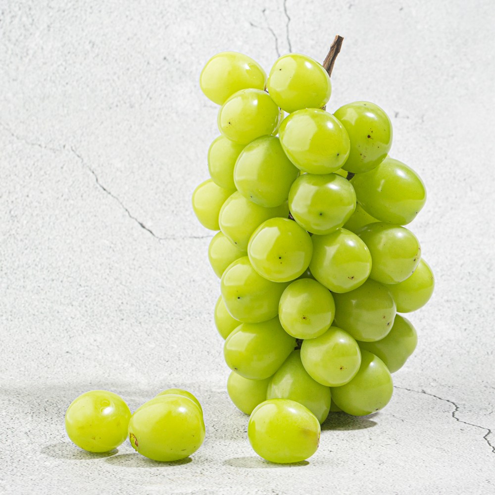 경북 샤인머스켓 고당도 망고포도 실속형 11,900원