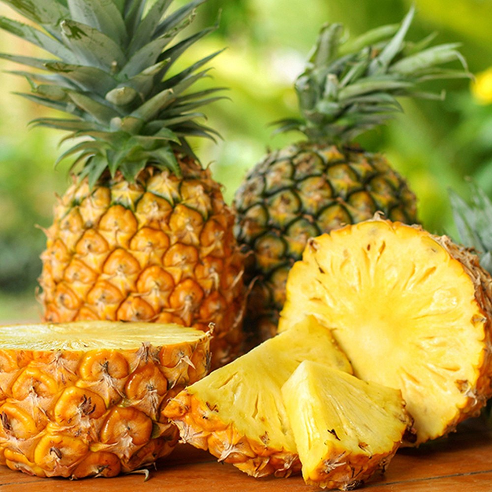 따봉프레시 백화점용 고당도 천연과즙 황제 파인애플 26,800원