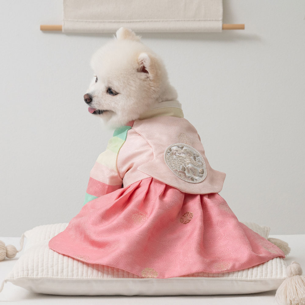 베일리 강아지 애견 한복 항균 색동당의 한복 29,000원