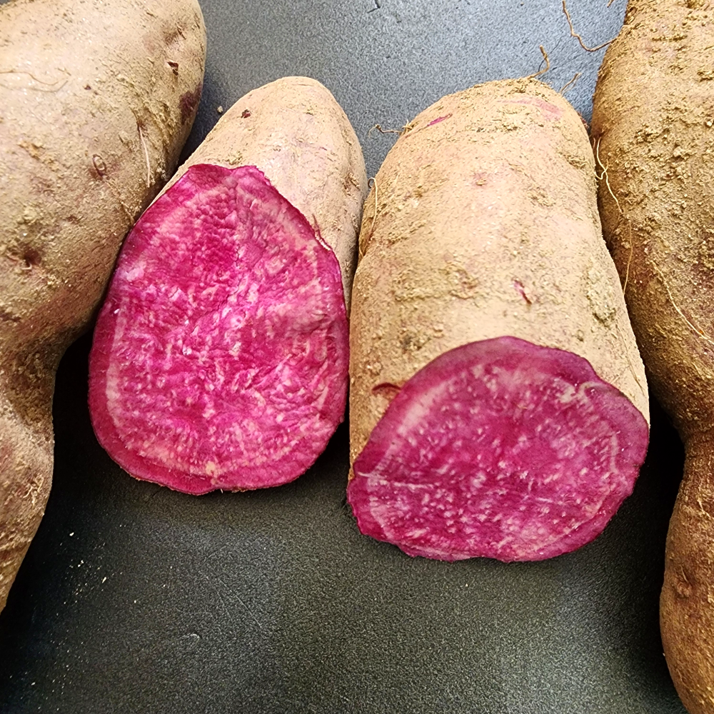 고구마 자색고구마 25년 수확 우가네농장 국산 18,000원