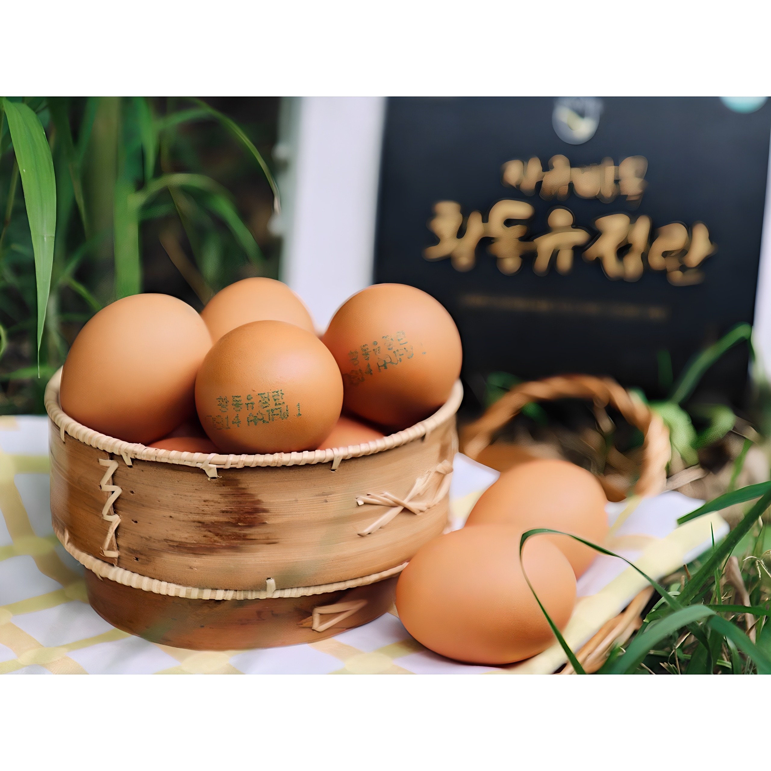 [난각 1번] 오늘 낳은 자유방목 유황먹인 무항생제 황동유정란, 60구, 1개 35,900원