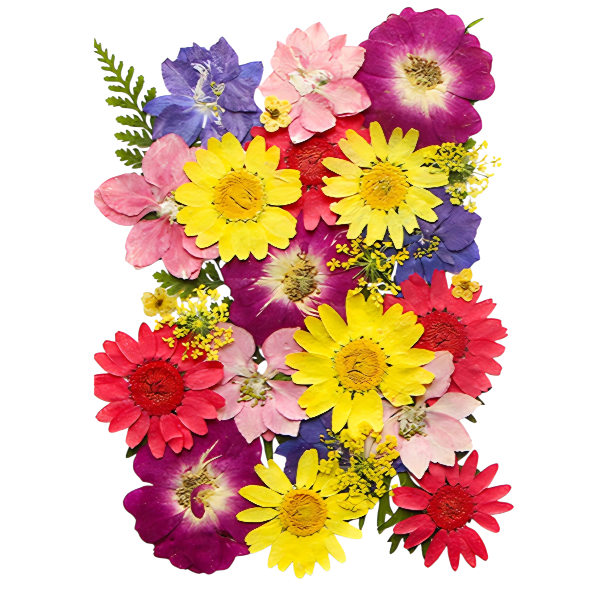 압화, 생화, 꽃, 누름꽃, 레진공예재료, 압화공예재료 8,500원