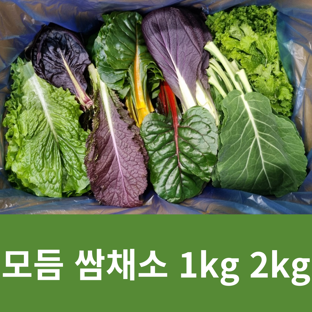길룡이네 모듬쌈채소, 1박스 13,800원