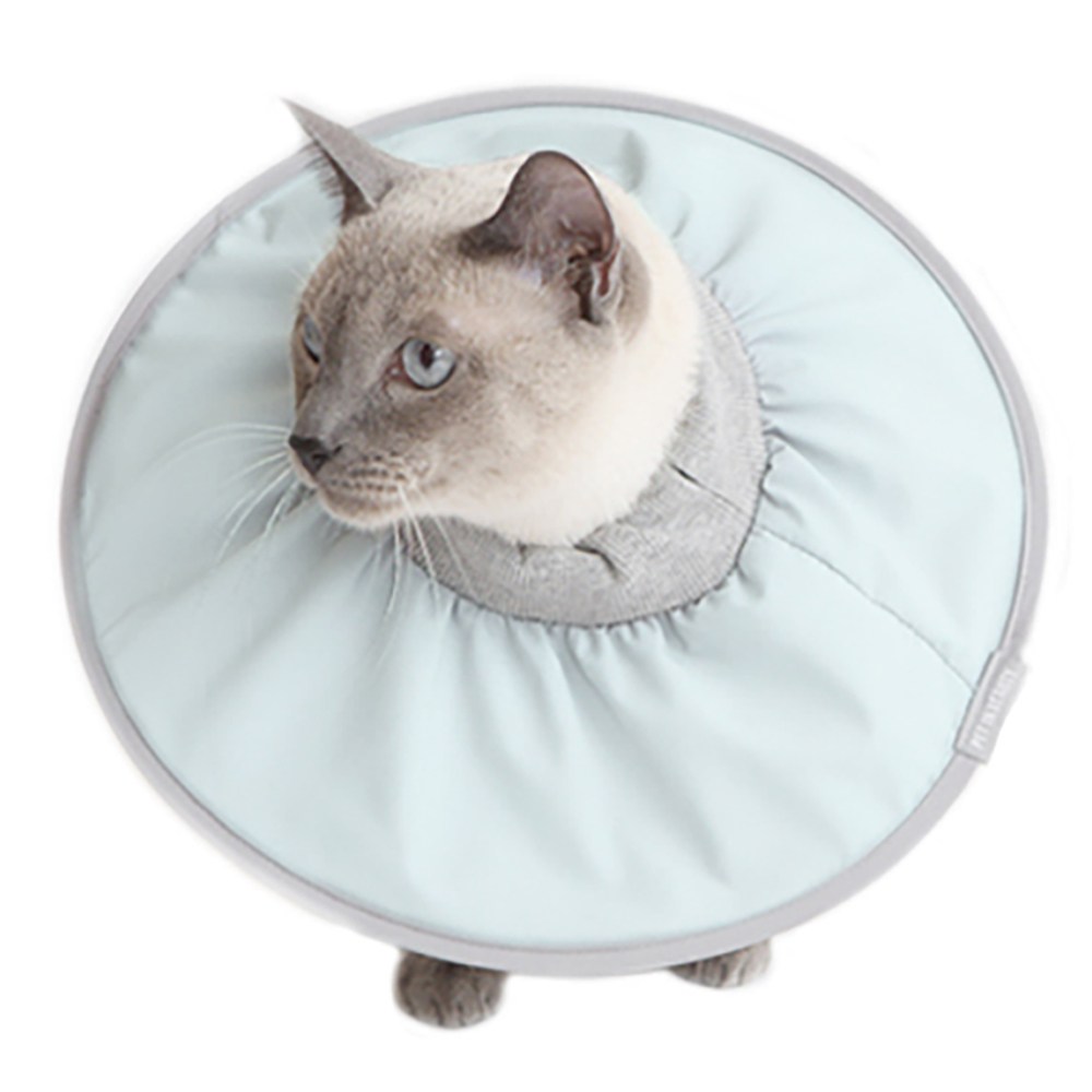 펫인뷰티 반려동물 제로 넥카라, 민트, 1개 21,600원