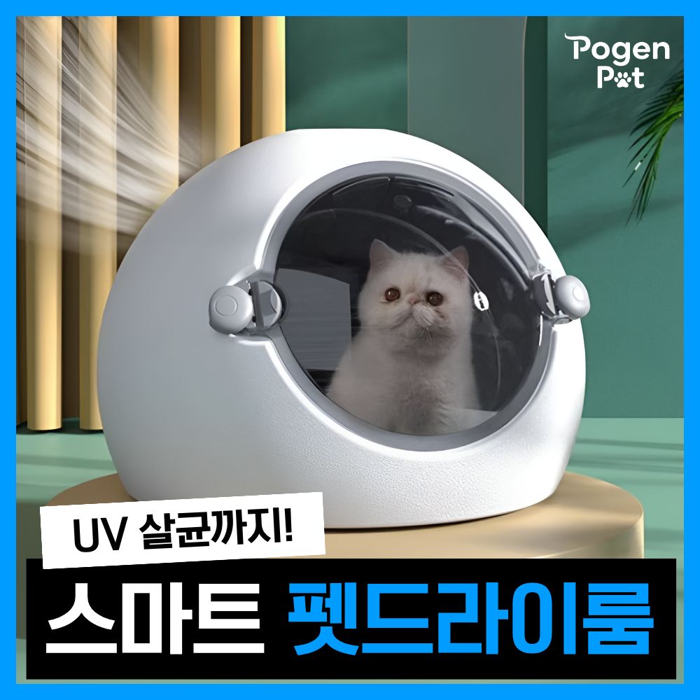 포근펫 펫드라이룸 강아지 고양이 털말리기 저소음 애완동물 건조기, UV 라이트, 1개 220,000원