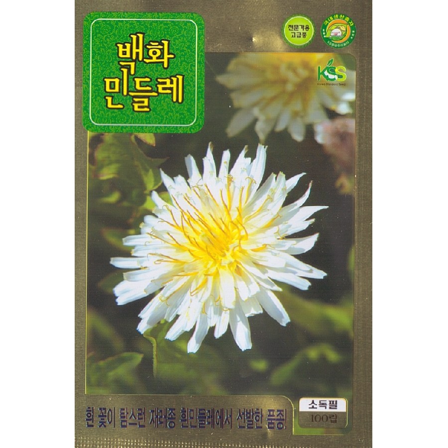 백화민들레 씨앗 (100립) 흰민들레 종묘 종자 씨 영웅 KS 3,000원