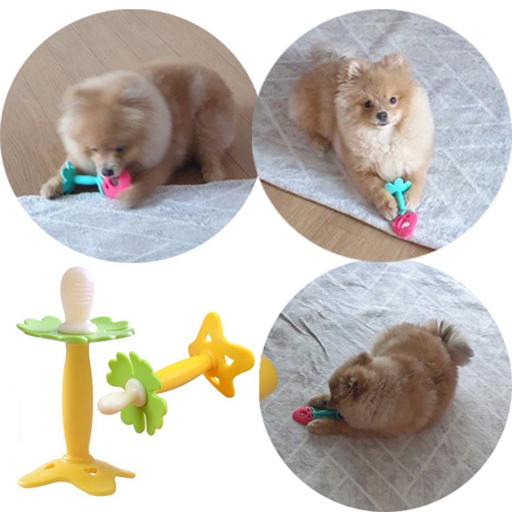 애완견 노리개치발장난감 / 유치보호장난감 / 100%국내생산 11,900원