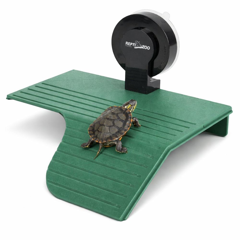 렙티주 반수생거북이육지 터틀램프 소형 흡착식 11,500원