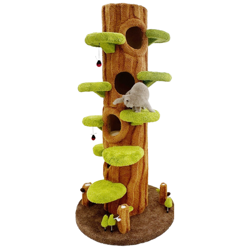펫모닝 5단 통나무 숨숨집 캣타워, 1개, 브라운그린 750,000원