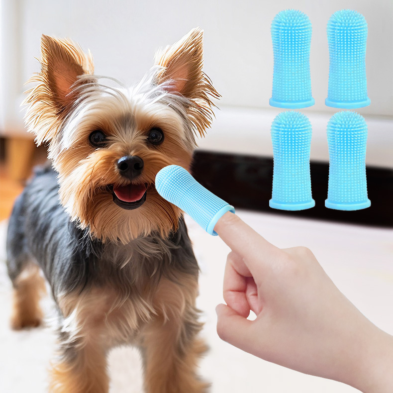 리빙만렙 펫치카 360도 강아지 손가락 칫솔 4개 7,900원