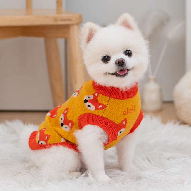 올치 반려동물 동물친구 니트 KN6738, 오렌지, 1개 21,230원