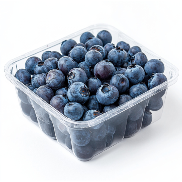 생블루베리 고당도칠레산 신선한특품베리 항공직송, 2개, 생블루베리125g(특품) 16,900원
