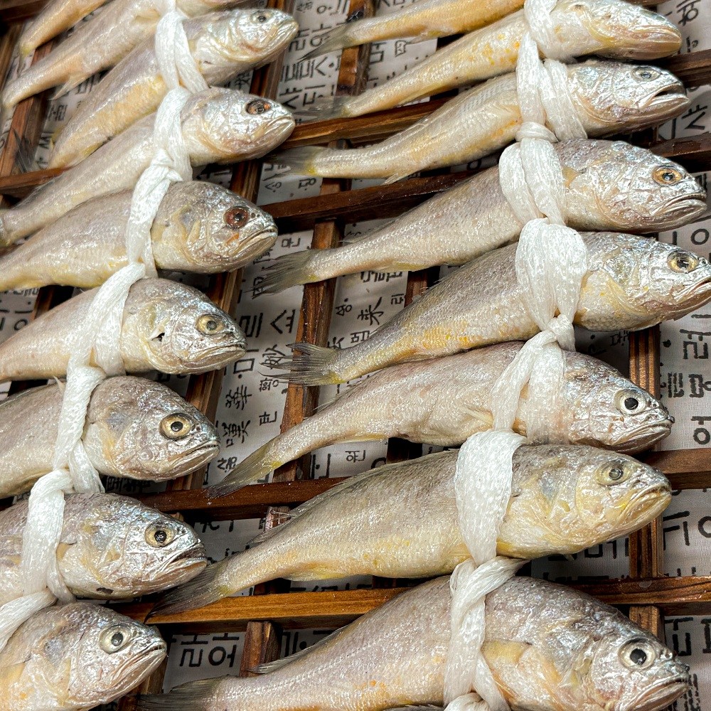 농가살리기 정품 영광 법성포 참굴비, 1개, 1kg 내외 (20미 내외) 26,900원