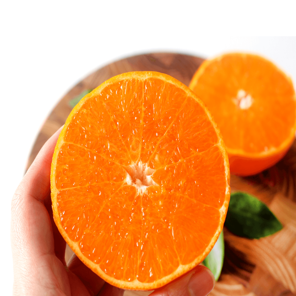 [한정특가] 해피팜제주 농장직송 고당도 제주도 천혜향, 1박스, 5kg 38,500원