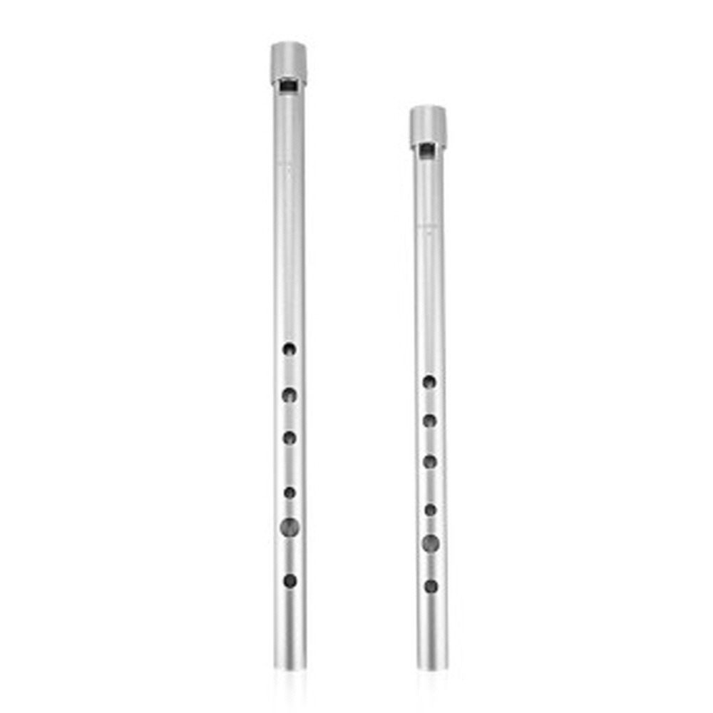 틴 휘슬 아이리쉬 페니 휘슬 나오미 연주용 C키D키, 틴 휘슬 D키, 실버, 1개 33,160원