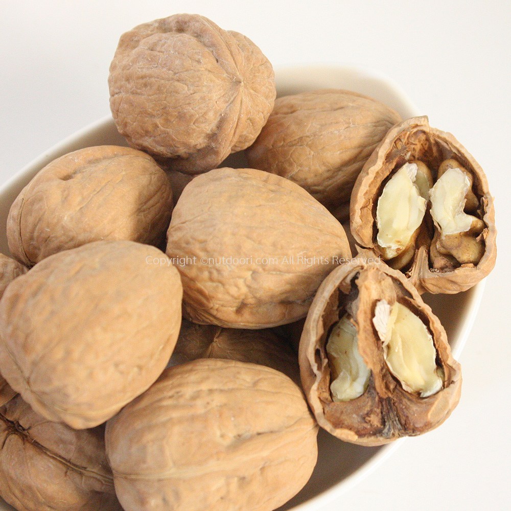 프리마베라 미국산 피호두 1kg (크래커포함) 정월대보름 햇피호두 부럼 알호두 8,500원