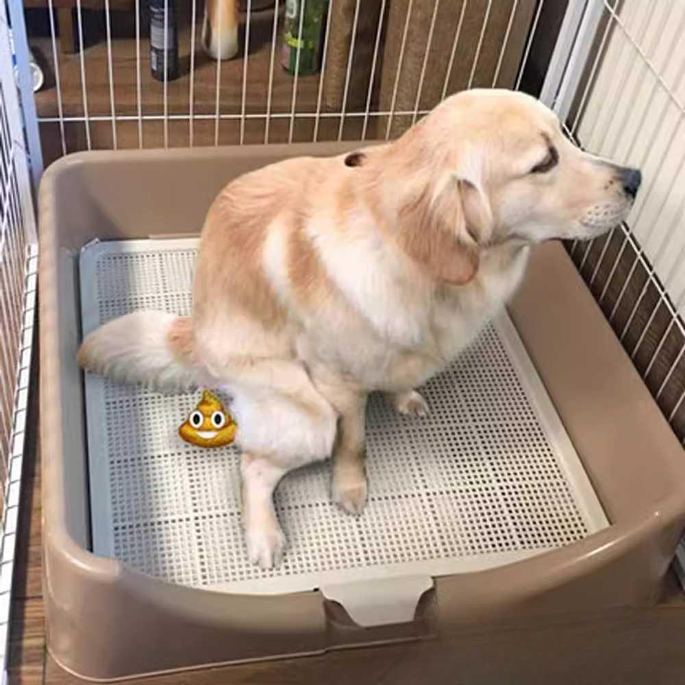대형견 배변판 강아지 화장실 애완동물 가정용 애견 래브라도 가능 사용 대형 크림색 (12-30근) 27,350원