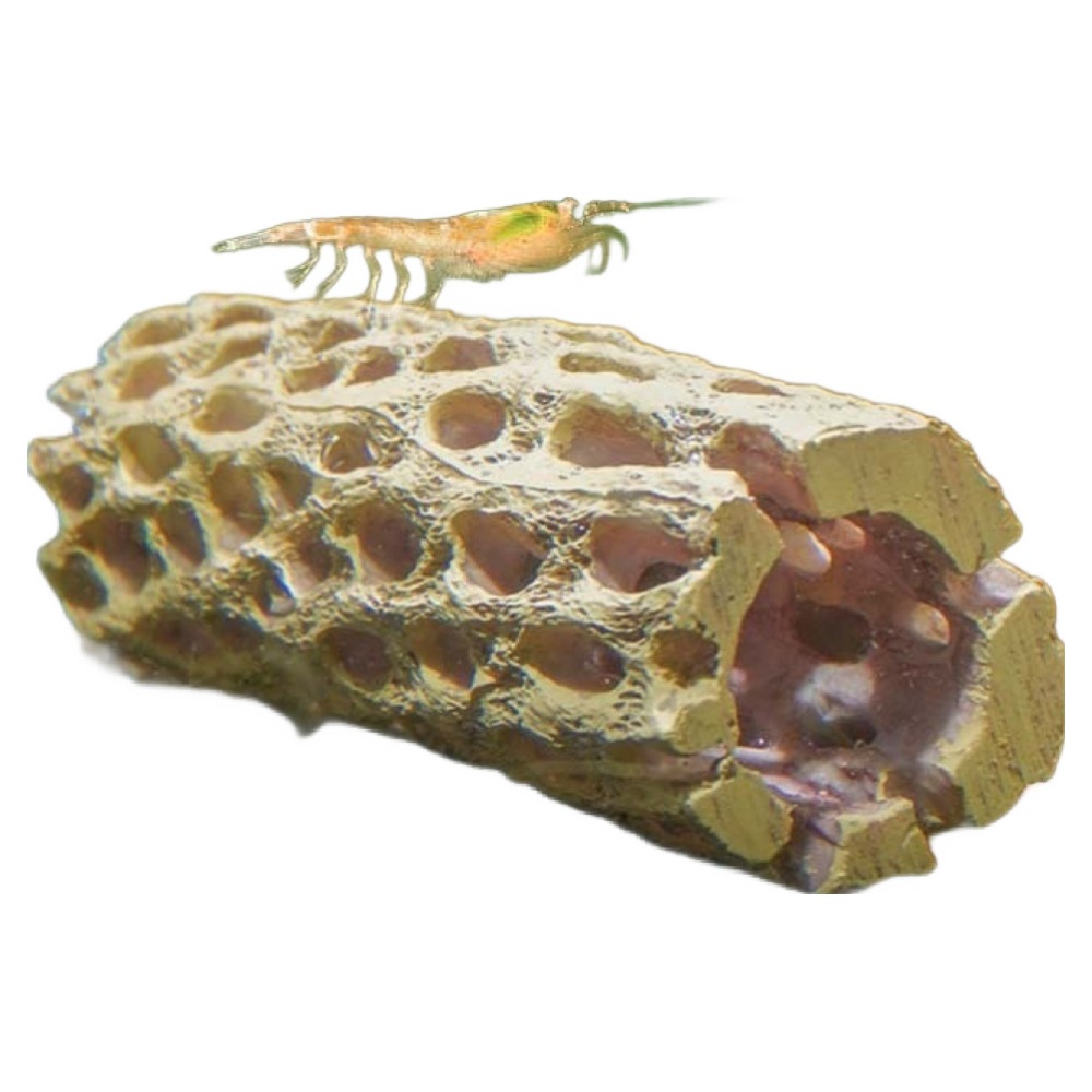 레몽크리프 체리새우 레진 수족관 조경 새우 은신처 놀이터, 1개 6,200원