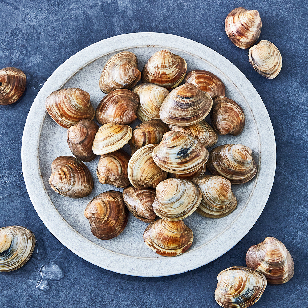 [로켓프레시] 생물 백합조개 (냉장) 8,820원