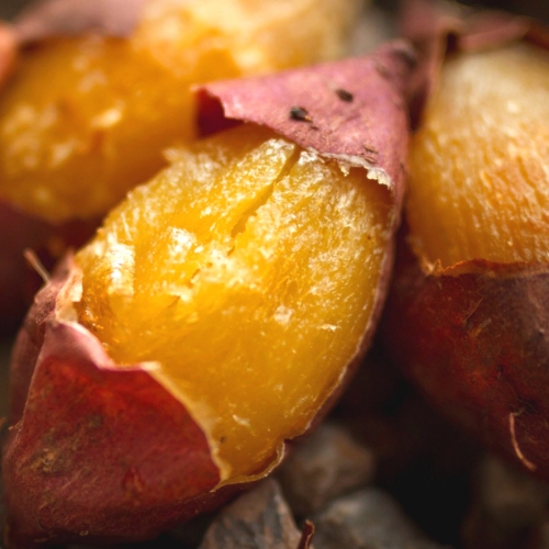 [재구매1위]꿀범벅 끝판왕 해남 명품 꿀고구마 16,320원