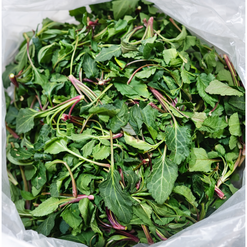 국내산 싱싱한 노지 취나물 봄나물 부지깽이 제철 나물 500g, 1kg, 500g 10,900원