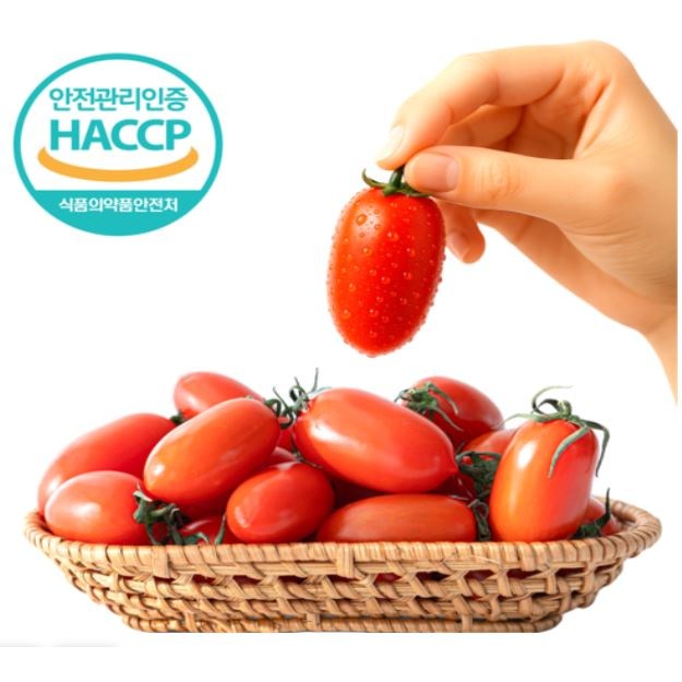 [프리미엄] 신품종 스테비아 고당도 자일리톨 대추방울토마토 고급건강간식 HACCP인증 19,900원