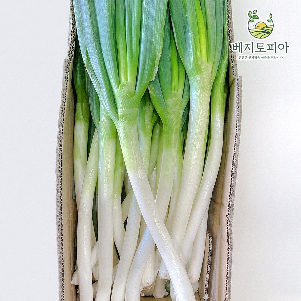 [품질보장] 수입산 우승 프리미엄 대파 깐대파 손질대파 업소용 식자재용 3kg 11,900원