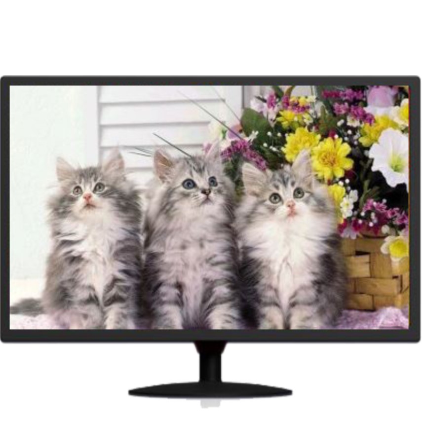 자비오씨엔씨 엑사비오 X2400EWT 광시야각 LED TV 24인치모니터, X2400EWT, 61cm 149,000원