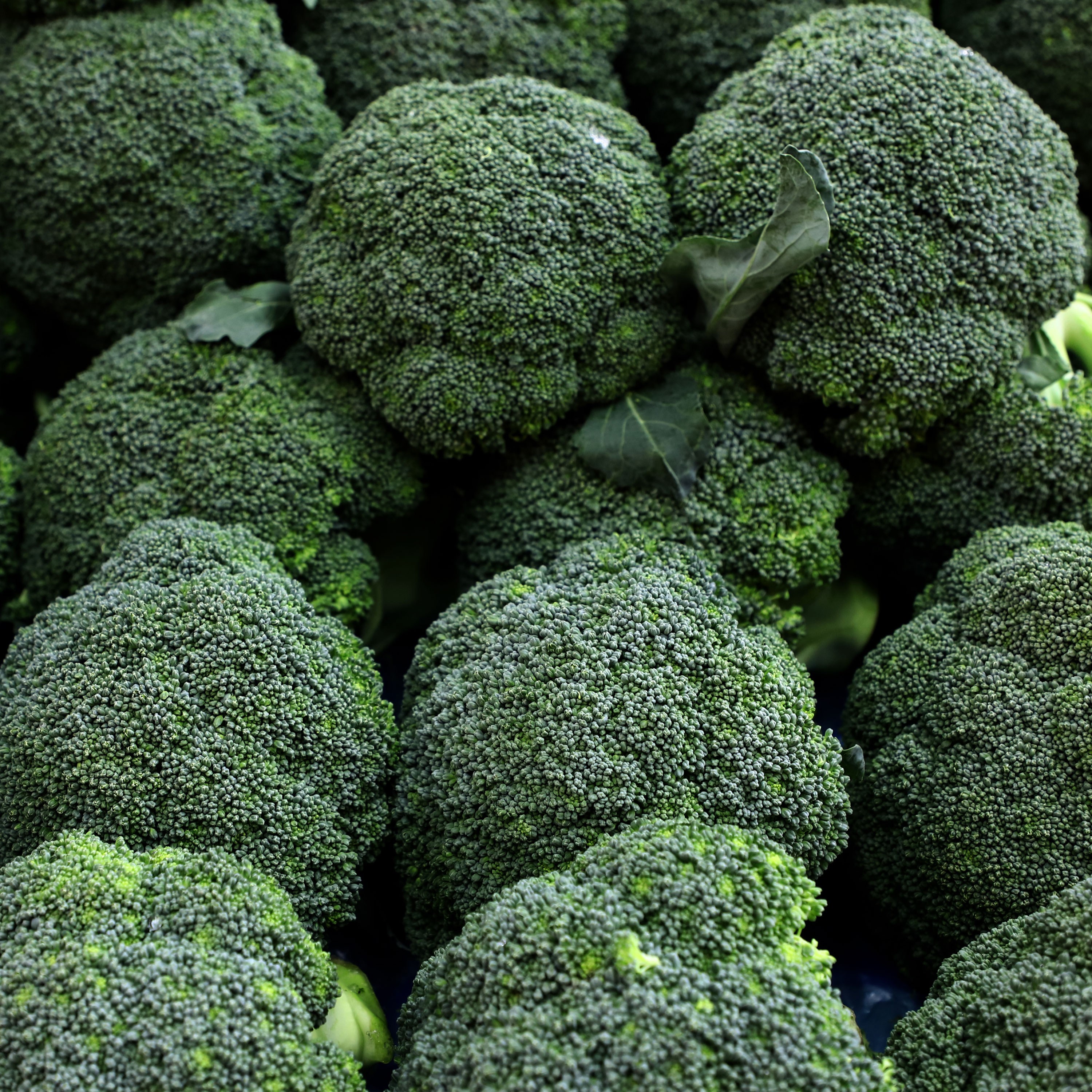 미소진 아삭아삭 국내산 브로콜리 9,900원