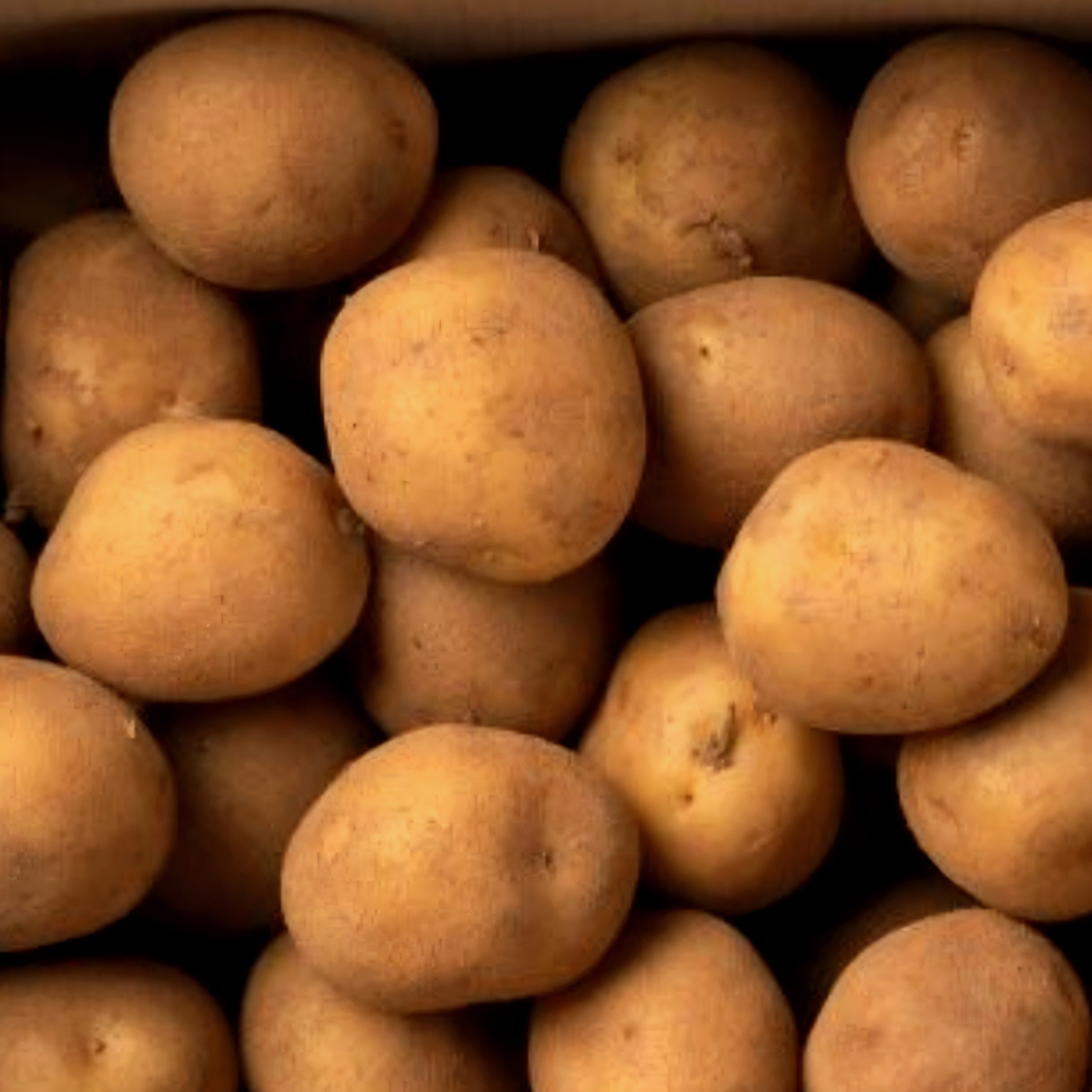 강원도 수미 감자 햇감자 국산감자, 1개, 5kg 중 18,990원