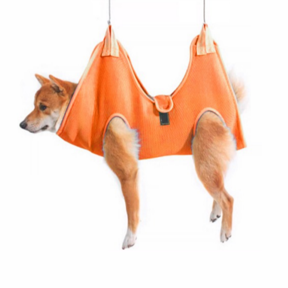 고냥냥 강아지 고양이 발톱 깎이 거치대, 주황, 1개 15,900원