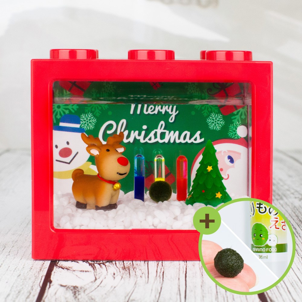 루돌프 마리모 키우기 세트 블럭어항 LED등 마리모밥 12,900원