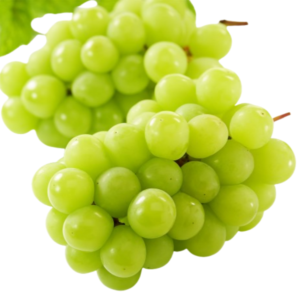 [김천 명인] 프리미엄 고당도 샤인머스켓 수출용, 1개, 명인 샤인머스켓 2kg (2수~3수) 36,500원