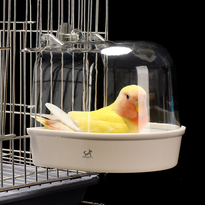 딩동펫 파노라마 투명 앵무새 버드 욕조 소형 4,000원