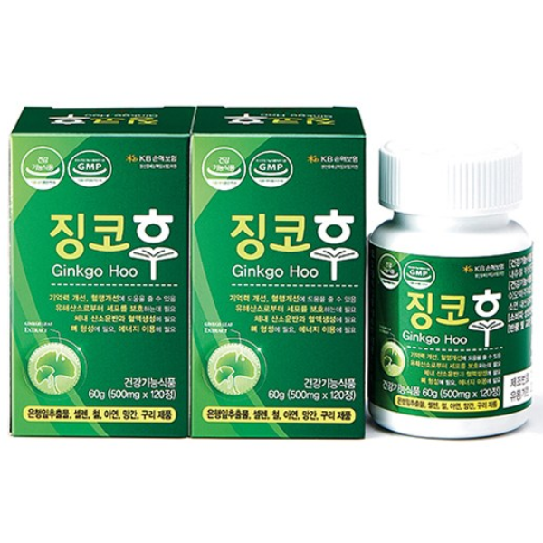 징코후 은행잎추출물 혈행개선 기억력개선, 3박스, 120정 96,000원